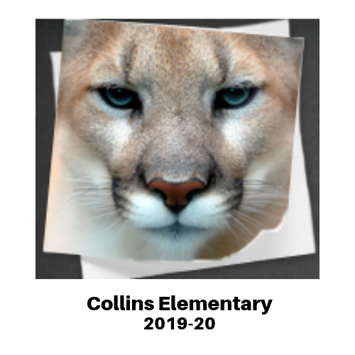 Collins Elementary - 5th Grade School Supply Box - 2019-20
